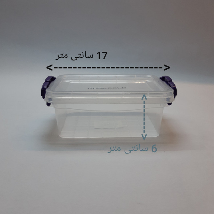 ظرف نگهدارنده رزگلد مدل فریزری قفلی 2 بسته 3 عددی